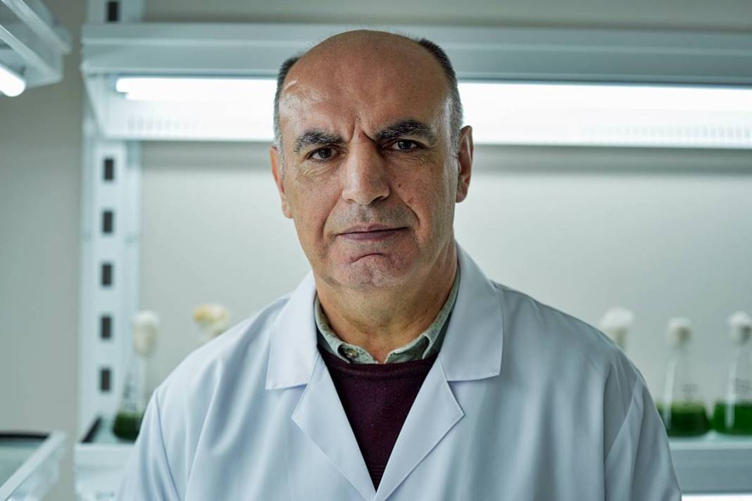 İstanbul'da buradan tutulan balıkları sakın yemeyin! Suda oksijen kalmadı, ağır metal ve pestisit var 13